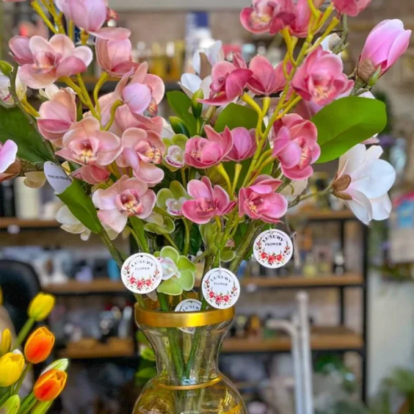 شاخه‌های ارکیده سیمبیدیوم
