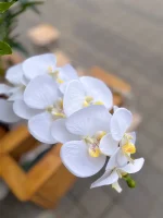 گل ارکیده مصنوعی