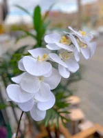 گل ارکیده مصنوعی