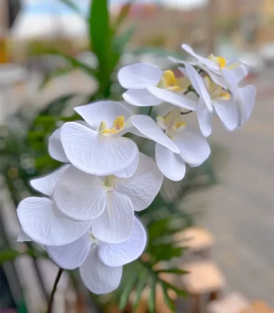 گل ارکیده مصنوعی