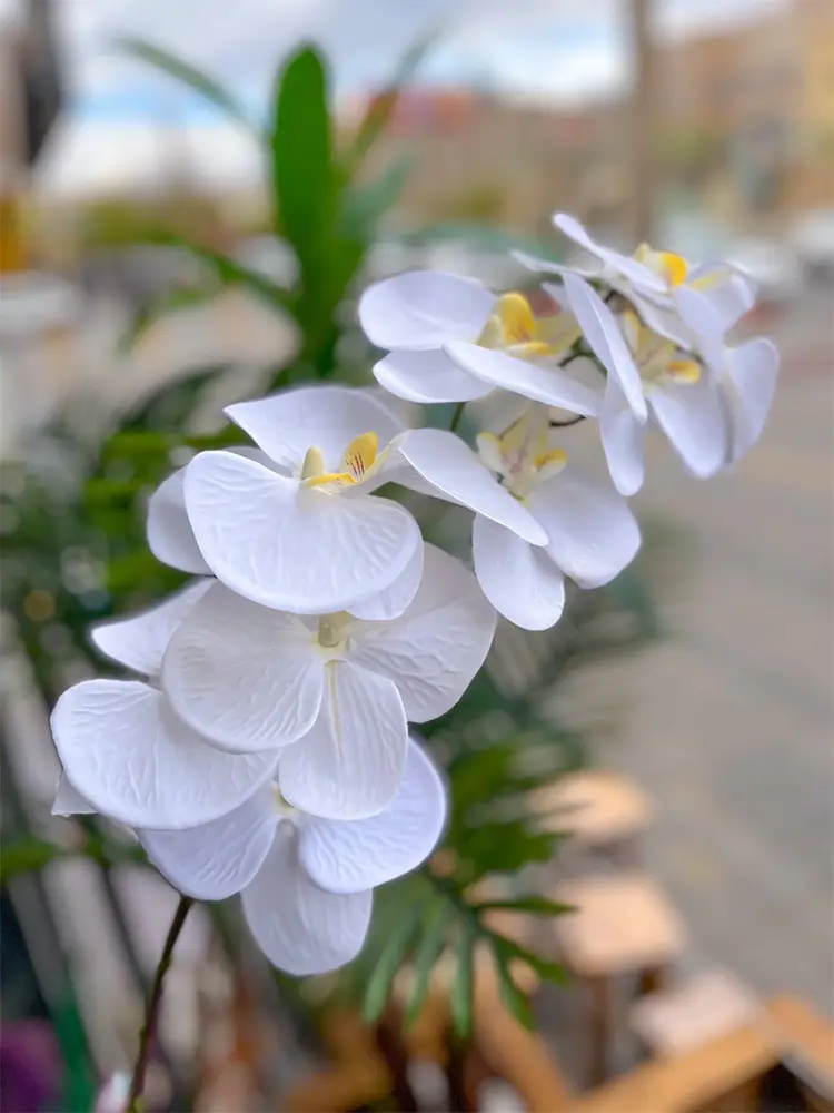 گل ارکیده مصنوعی