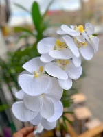 گل ارکیده مصنوعی