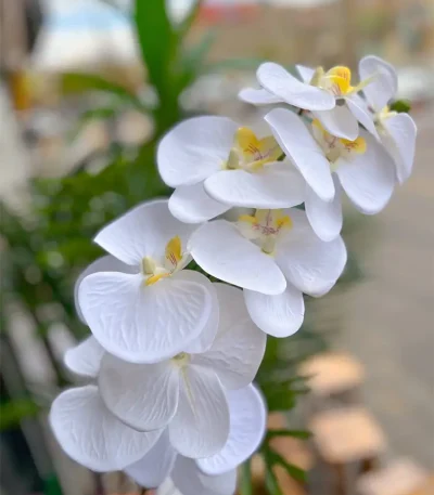 گل ارکیده مصنوعی