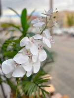 گل ارکیده مصنوعی