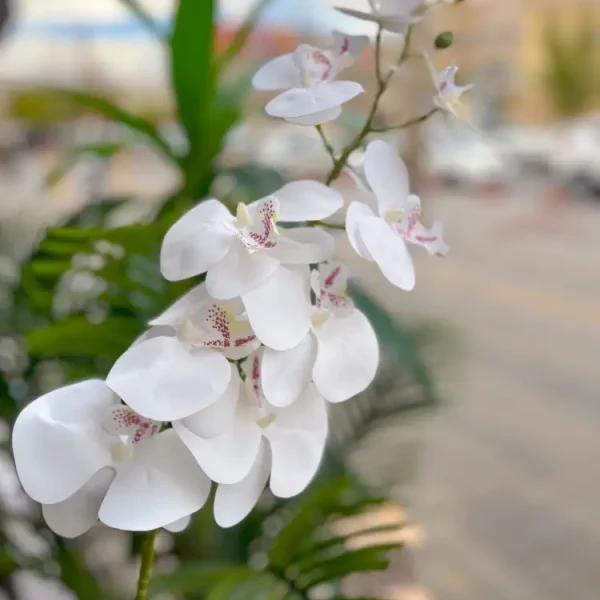 گل ارکیده مصنوعی
